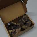 Fake Snakes - Realistic Rubber Reptiles for Garden Bird & Squirrel Repellent, Prank Props, Fun Toys for Kids & Adults, Ideal Freebies for Halloween & April Fools' Day Parties (1 Rattlesnake)