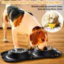 Hubulk Pet Dog Bowls 2 Stainless Steel Dog Bowl with No Spill Non-Skid Silicone Mat + Pet Food Scoop Water and Food Feeder Bowls for Feeding Dogs Cats Puppies (M, Black)