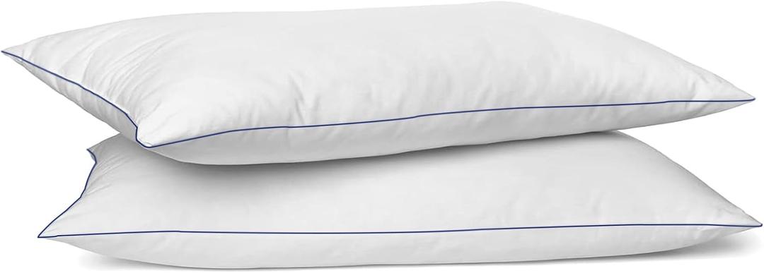 SILUI Flat Soft Thin Pillows Queen Size Set of 2 Pack Bed Pillow with Down Alternative Fill for Side Back Stomach Sleepers, 20x30 Inches, White