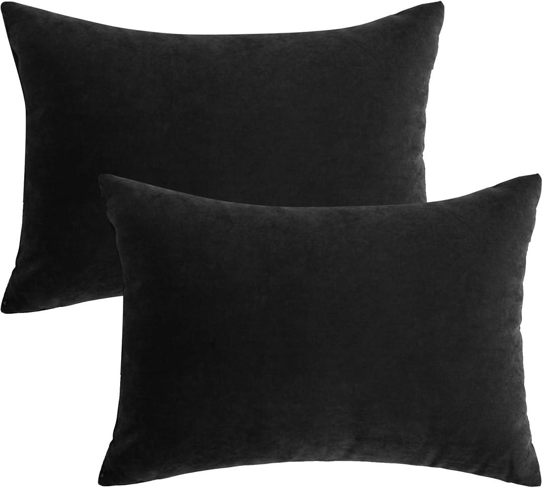 Ripeng 2 Pcs Small Pillows Down Alternative Microfiber Mini Pillows Soft Machine Washable Breathable Tiny Cushion for Travel Sofa Chair Sleeping Neck Wrist Lumbar Knee Support (14"x10",Black)