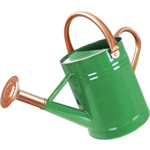 1 Gallon Metal Watering Can for Outdoor Garden, Plant & Flower Watering Pot for Gardening Bonsai Water Bucket with Sprinkler Head