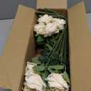 30 PCS Fake Champagne Roses, Artificial Flowers Bulk Realistic Silk Faux Rose with Stems for Wedding Decorations, Bridal Bouquets, Mother's Day Thanksgiving DIY Floral and Home Decor