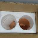 4 Inch Terracotta Pot with Saucer - 6 Pack Small Clay Plant Pots with Drainage Holes, Flower Pots with Tray, Terra Cotta Pots for Indoor Outdoor Plants, Crafts, Wedding Favor