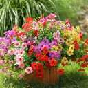 Powbrace Artificial Flowers Outdoor Fake Plants, Faux Silk Flowers Plastic Plants for Outdoors Indoor Outside Front Porch Hanging Planter Window Box Garden Home Spring Decoration, 14 Pack (Mix)