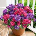 Artificial Geranium Fake Flowers for Outdoors Decoration, 6 Bundles Silk Geraniums Flower UV Resistant Look Real Faux Plants for Front Door Garden Porch Planter Patio Balcony Yard Indoor Home, Mix (3 Fuchsia, 3 Purple)