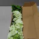 Waipfaru 4 Pcs 21" Real Touch Green Hydrangea Artificial Flowers with Long Stem & Leaves, Full Latex Faux Hydrangea Flowers for Home Decor Party Floral Arrangements Wedding Bouquets Centerpieces