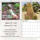 4 x 2026 Wall Calendar, 2026 Funny Calendar, Nature's D'ck Pics Calendar, 12 Months from Jan 2026 - Dec 2026, 12" x 24" Open, Thick Paper, Moon Phases, Holidays, Perfect Gag Gifts, White Elephant Gifts