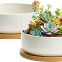 ZOUTOG Plant Pot 6 Inch, Ceramic Succulent Pots for Flower with Drainage and Tray, Succulent Planters for Indoor Plants White Round with Home, Office, Pack of 2