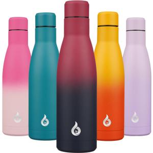 BJPKPK Insulated Water Bottle 17oz Stainless Steel Water Bottles Diashwasher Safe Reusable Metal Thermal Keep Cold and Hot,Charming Black Red
