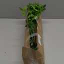 Artificial Greenery Stems, 43.3" Nandina Branches Tall Faux Plant Stems for Vase, Greenery Decor Stems Leaves Bunches for Shop Garden Office Home Dcor(4Pcs,Green)