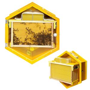Bee Hive Box with Observation Windows,Complete Beehive Starter Kit,Hanging Beehive for Indoor Bee Breeding,Transparent Door Panel for Easy Observation,with 3 Beehive Frames and 6 Comb Honey Box