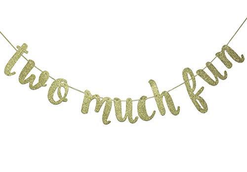 Two Much Fun Banner, 2nd Birthday Garland Sign Party Decorations Anniversary Decor Photo Booth Props Gold