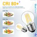 BlueStars G45 E26 Edison LED Filament Globe Bulb 120V 5W (60 Watt Equivalent), 2700K Warm White Light 550lm Non-Dimmable for Indoor Outdoor Holiday Home Decoration - 3 Packs