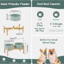Havniva Ceramic 6.1inch Raised Dog Bowl with Stand for Small and Medium Breed Dog Dish Pet Food and Water Bowl (Double Bowl with Stand - Light Green, 28oz)