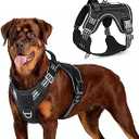 rabbitgoo Tactical Dog Harness for Large Dogs, No Pull Military Service Vest with Handle & Molle, Easy Control for Training Walking, Adjustable Reflective Straps, Green, XL