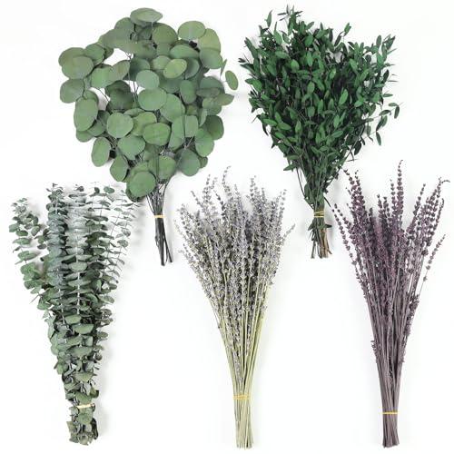 120+ Pcs Mixed Dried Eucalyptus & Lavender Flowers for Shower, Preserved Natural Eucalyptus Leaves for Wall Hanging, Plant Fragrance, Dried Florals for Vase Fillers, Wedding, Green Bathroom Decor