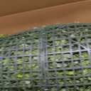 Artificial Grass Wall Panels,40"x120" (33.33 SQFT) Boxwood Roll