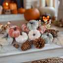 Artmag 25 PCS Pumpkin Decor Set, Artificial Fabric Pumpkins Decor with Acorns, Pinecones, Berries, Maple Leaves for Fall Halloween Thanksgiving Decorations Home Table (Style 6)