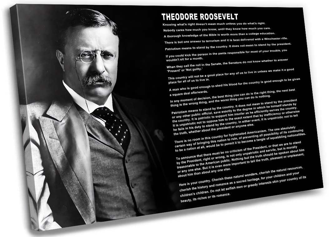 Theodore Roosevelt Quotes wall art inspirational poster canvas painting framed pictures wall art poster for office decor ready to hang (16x24 inch)