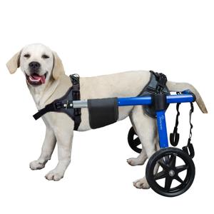 Silla de ruedas para perro para patas traseras, silla de ruedas para perro con neumticos todo terreno y rodamientos duraderos, silla de ruedas grande para patas traseras, 35-48.5 libras (M)