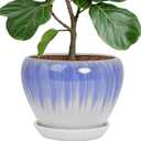Deep Dream 10 Inch Plant Pot- Ceramic Planter Pot Round Plant Pots for Indoor Plants Outdoor Large Flower Pot with Drainage Holes & Trays, White&Blue