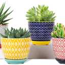 Selamica Ceramic Plant Pots, 4.6 Inch Flower Pots for Indoor Plants, Succulent Pots with Drainage Hole & Saucer, Succulent Planters for Succulent Cactus, Home Decor, Set of 4, Assorted Colors