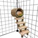 Hamiledyi Hamster Climbing Ladder Wood Stair and Hanging Hammock Set Wooden Molar Toys Cage Accessories for Syrian Hamster Gerbil Mice