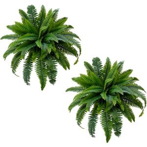 Senjie Artificial Boston Fern 2 Set 55 Branches Fake Ferns for Outdoors 32Inch Faux Plant for Home Living Room Office Decor