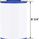 Spa Filter Compatible with 6CH-940, PWW50P3 (1.5" SAE Coarse Thread), FC-0359, 03FIL1400, 817-0050, 2 Pack