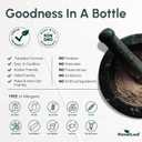 ForestLeaf Magnesium Complex 500mg - 500mg Capsules - Supplement 500 mg - for Sleep, Constipation - Supplement for Women (120 Ct)