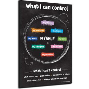 Things I Can Control Poster Pack of 2