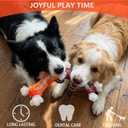 Tough Dog Toys for Aggressive Chewers, 2 Pack Indestructible Nylon Dog Bone, Chew Toys for Medium Large Breeds, Beef Flavor