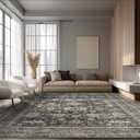Ruaruarug Area Rug Non Slip Machine Washable Ultra Soft Living Room/Bedroom/Kitchen/Outdoor/Classroom, Black Grey, 8'10'