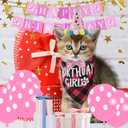 16 Pcs Cat Birthday Party Supplies, Cat Birthday Bandana with Number Hat, Banner, Bow Tie, Balloons (Pink)