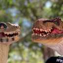 Dinosaur Toys Tyrannosaurus Rex and Blue Velociraptor Hand Puppets Dinosaur Animal World Action Figure Set Funny & Scared Head Hand Puppets for Home, Stage and Class Role Play Toys