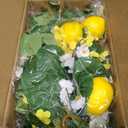 2PCS Artificial Lemon Garland (12Ft Total), Faux Fruit Vine with Greenery for Wedding Party, Wall Mantle Table Decor, Spring Summer Kitchen Door Decoration