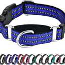 Hikiko Martingale Collar for Dogs Reflective Nylon Dog Collar with Quick Release Buckle Adjustable Training No Slip Dog Collar (Large, Blue)