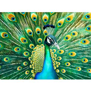Cross & Glory - Emerald Peacock - 1000 Piece Jigsaw Puzzle for Adults | Colorful Animal Artwork | 20 x 27 Inches | Satin Finish