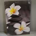 LYUNSHUO Zen Wall Art,Black and White Picture Canvas Print Spa Stone Painting Frangipani Flower Poster Minimalism Artwork for Spiritual Room Bathroom Living Room Office Home Decor(Art-5,16.00"x24.00")