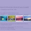 Calming Rain and Distant Thunder - Thunderstorm Nature Sounds Recording - For Meditation, Relaxation and Sleep - Nature's Perfect White Noise