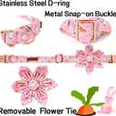 Unique style paws Easter Dog Collar with Flower Tie Rabbit & Carrot Puppy Collar for Small Medium Large Boys Girls-L