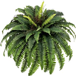 Large Artificial Ferns for Outdoor 51" Fake Boston Fern 66 Fronds Faux Ferns Plant Silk Greenery for Indoors Home Garden Porch Windowsill Decor (1 Stem) (51 inches - 1 stem)
