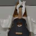 Fender Venice Soprano Ukulele, Black