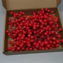 35 Pack Christmas Tree Decorations,9 inch Artificial Red Berry Stems,Red Berries Christmas Decor Christmas Tree Decorations Crafts Wedding Holiday Season Winter Dcor Home Decor