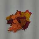 24 Pcs Fall Maple Leaf Ornaments for Tree Crochet Ornaments Thanksgiving Maple Leaf Hanging Pendant for Tree Decorations Autumn Leaves Birch Ginkgo Garland Table Decorations 6 Style