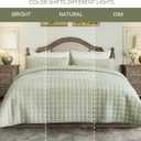 Fleeco Double-Sided Velvet Quilt King Size Comforter Set, 108"x 96" Lightweight Velvet Bedding Set, Ultra Soft Bedspread with 2 Matching Shams, for All Seasons, Sage Green