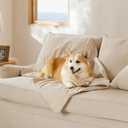 Bedsure Cat Blanket for Indoor Cats - Waterproof Calming Cat Blankets for Couch Protection, Sherpa Fleece Pet Blanket, Soft Plush Reversible Throw Furniture Protector, 50"x40", Cream (L(40x50"), Cream)