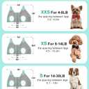 Kkiimatt XS Dog Grooming Hammock Harness, Grey, Nail Trimming, Holder, Restraint, Thick Neck Support
