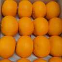 Toopify 16 Pcs Artificial Oranges, Decorative Fake Oranges for Decoration Lifelike, Realistic Fake Fruit Oranges for Christmas Home Kitchen Festival Party Decoration