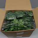100 Pcs Fake Vines Bulk Artificial Ivy Garland Greenery Hanging Vines Green Leaves Plants for Bedroom Wedding Garden Home Wall Jungle Themed Party Decorations (722ft)